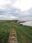 SX24668 Cliffs by Llantwit Major.jpg